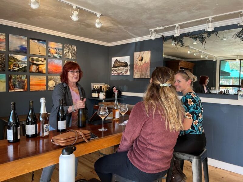 Carmel Valley Village: Wine Tasting Tours in a 1970 VW bus. - Final Thoughts