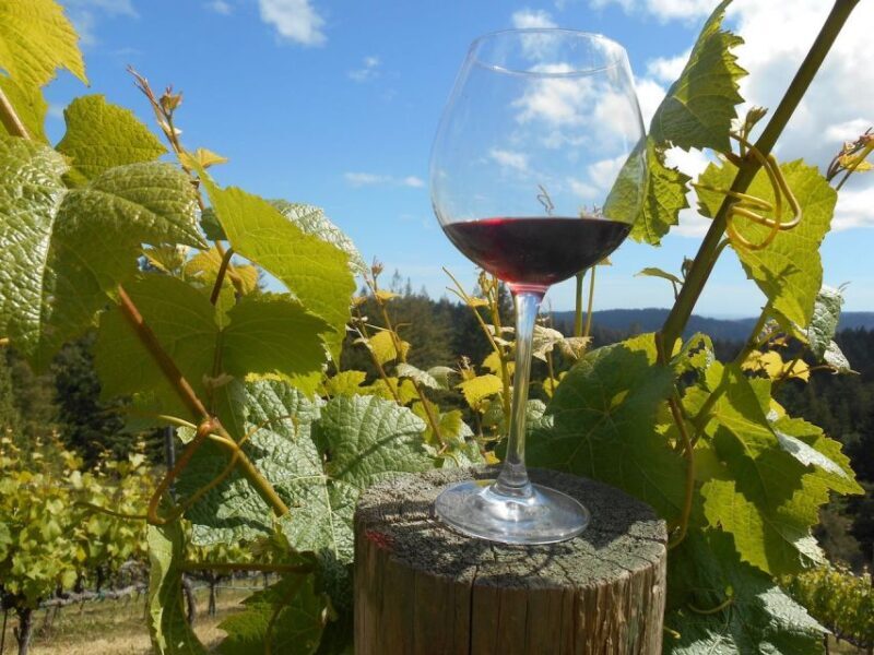 Carmel Valley Wine Tasting Tour - FAQ