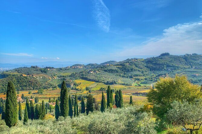 Carmignano Wine Tour with a Somm Small Group - Key Points