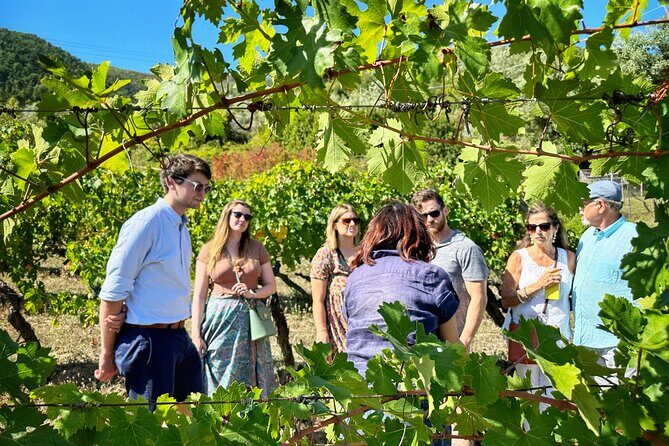 Carmignano Wine Tour with a Somm Small Group - Stop 1: The Organic Gem in Bacchereto