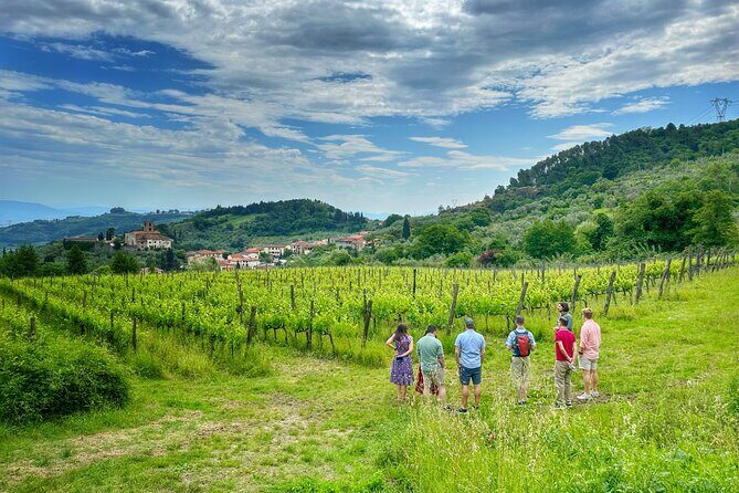 Carmignano Wine Tour with a Somm Small Group - The Medici Villa and Cultural Touches