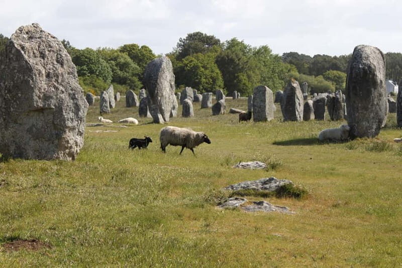 Carnac: Carnac Stones 40-Minute Audio-Guided Bus Tour - What the Tour Means for You
