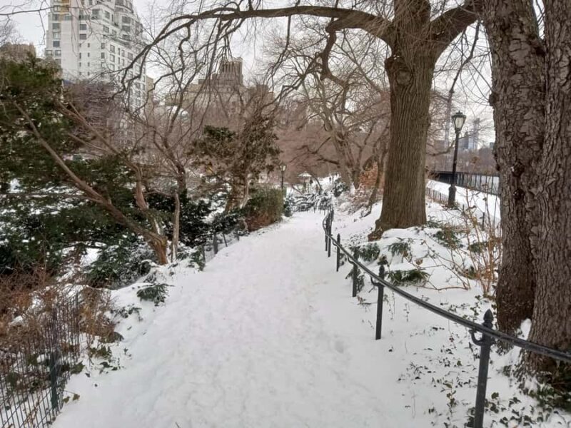 Carnegie Hill: 5th & Park Film and Fiction Walking Tour - Key Points