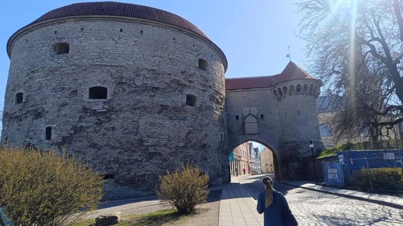 Carnivals, Punishments, Epidemics in Medieval Tallinn - Key Points