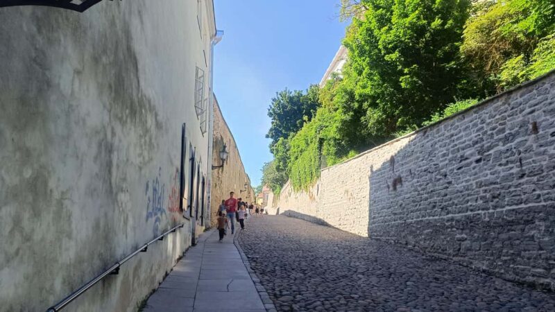 Carnivals, Punishments, Epidemics in Medieval Tallinn - Who Should Take This Tour?