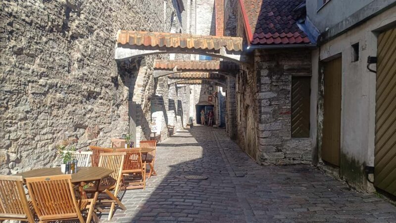 Carnivals, Punishments, Epidemics in Medieval Tallinn - Final Thoughts: Is It Worth It?