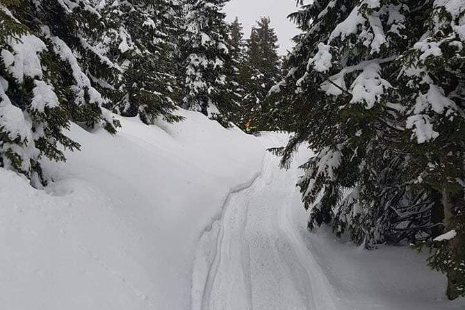 Carpathian mountains Snowmobile, ATV or Buggy tour in one day - Key Points