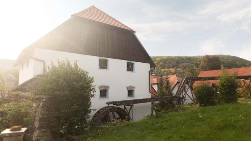 Carpathian Wine tasting tour + Red Stone Castle (Bratislava) - An In-Depth Look at the Carpathian Wine & Castle Tour