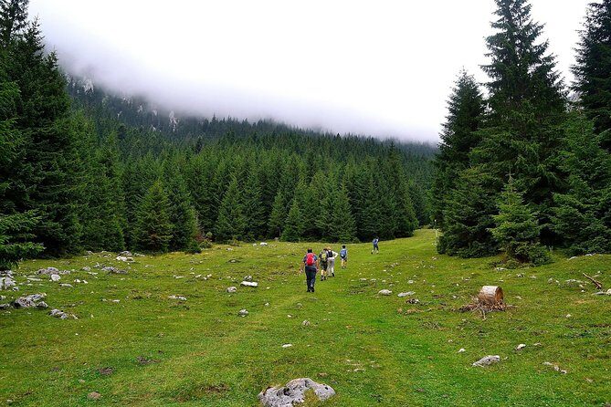 Carpathians in Romania: Piatra Craiului National Park with native Spanish guide. - In-Depth Look at the Piatra Craiului National Park Hike