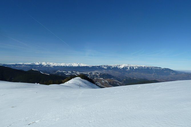 Carpathians in Romania: Piatra Craiului National Park with native Spanish guide. - Practical Details & Considerations