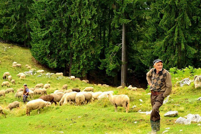 Carpathians in Romania: Piatra Craiului National Park with native Spanish guide. - The Sum Up: Is It Worth It?