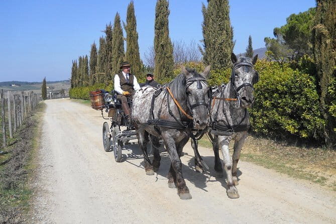 Carriage ride and Lunch in a typical restaurant in the heart of Chianti - Exploring the Charm of the Chianti Carriage and Lunch Tour