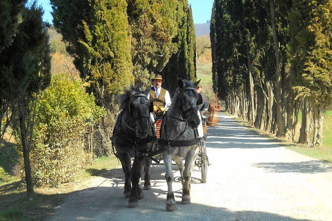 Carriage ride and Lunch in a typical restaurant in the heart of Chianti - Key Points