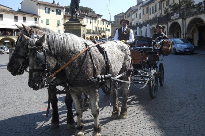 Carriage ride and Lunch in a typical restaurant in the heart of Chianti - Who Should Consider This Experience?
