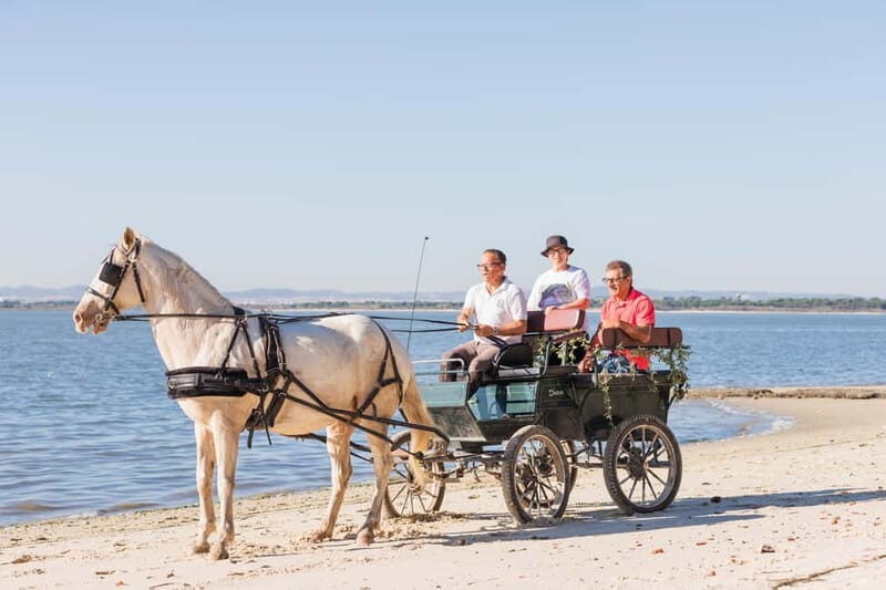 CARRIAGE Ride On The Beach (Rosário Beach) - An In-Depth Look at the Carriage Ride Experience