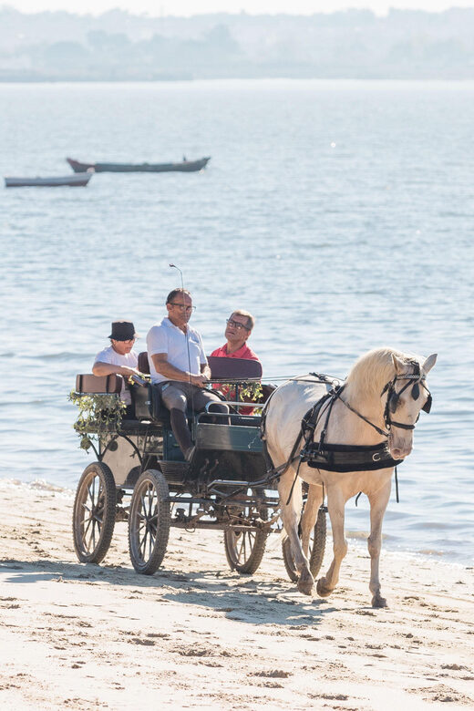 CARRIAGE Ride On The Beach (Rosário Beach) - Why This Ride Is a Great Value