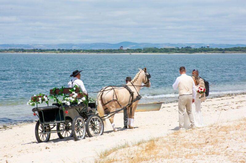 CARRIAGE Ride On The Beach (Rosário Beach) - Who Will Love This Experience?