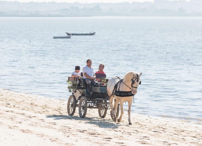 CARRIAGE Ride On The Beach (Rosário Beach) - Final Thoughts