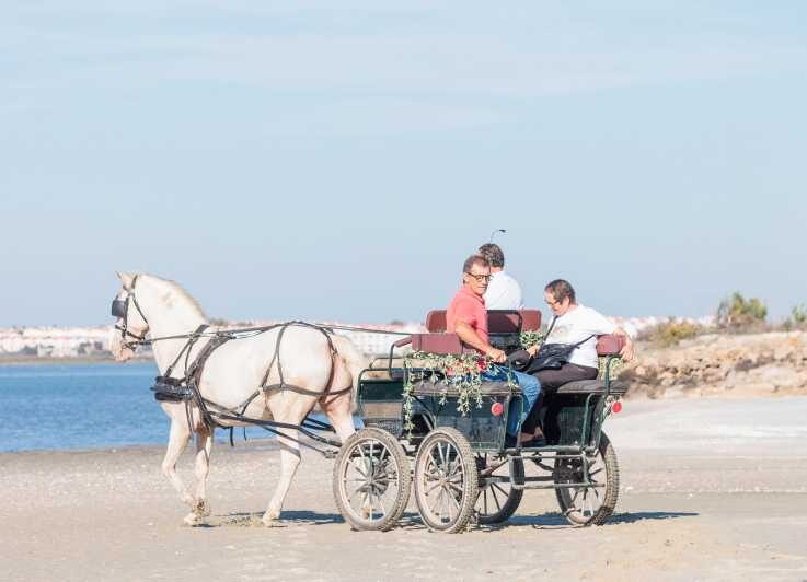 CARRIAGE Ride On The Beach (Rosário Beach) - FAQs
