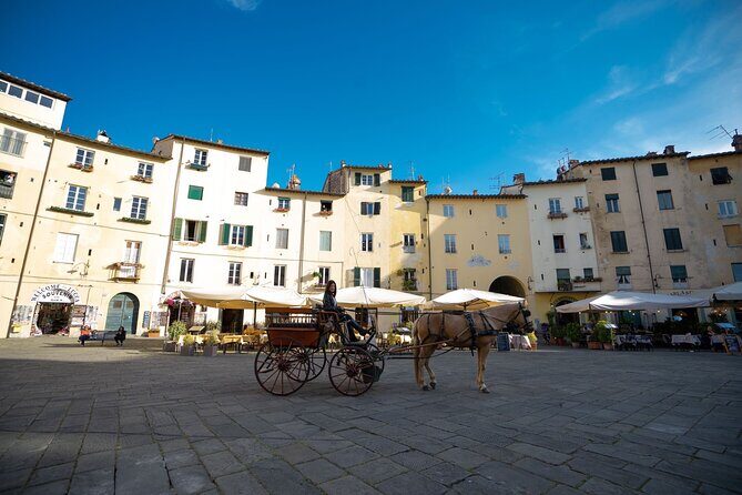 Carriage tour in the historic center of Lucca - Exploring Lucca in Style: The Carriage Itinerary