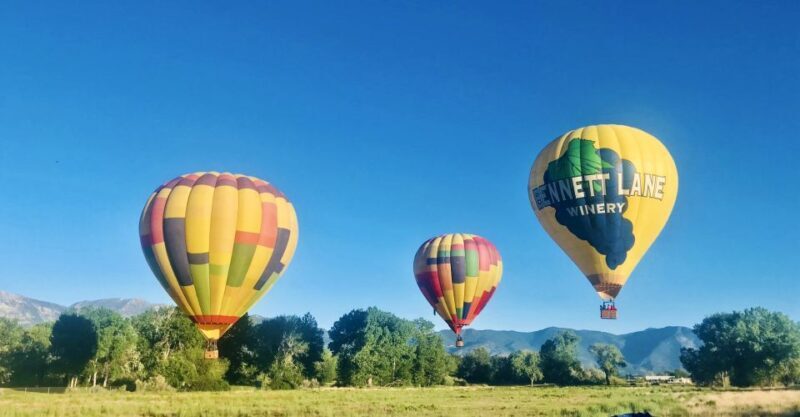 Carson City: Hot Air Balloon Flight - An In-Depth Look at the Carson City Hot Air Balloon Experience