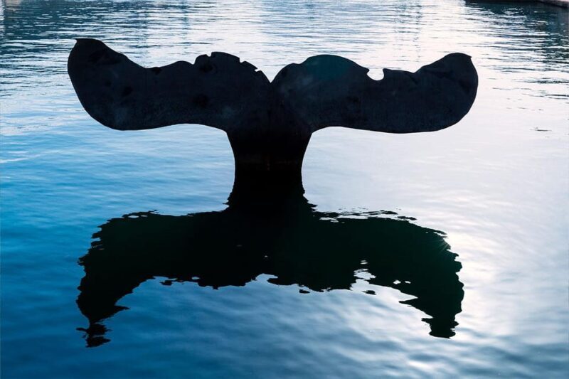 Cartagena Private Tour - Exploring the Busiest Hubs: Plaza San Francisco & Cerro del Molinete