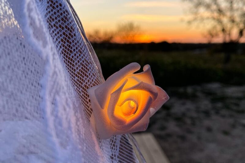 Carvoeiro, Portimão, Lagos: Algarve Romantic Vineyard Picnic - An In-Depth Look at the Algarve Romantic Vineyard Picnic