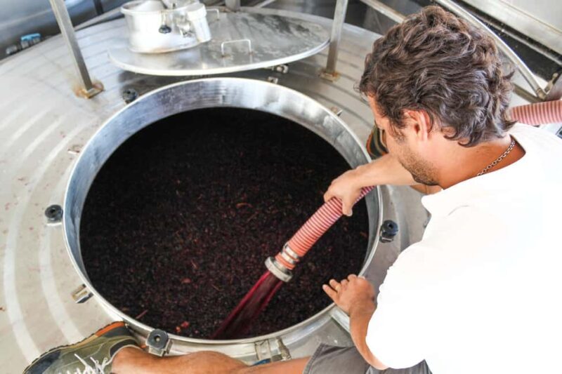 Casa Relvas, Évora - Visit to the Winery with Tasting of 5 wines and Tapas - Detailed Review