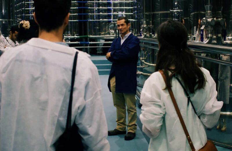 Casa Relvas, Vidigueira: Olive Harvest Campaign Program - FAQ