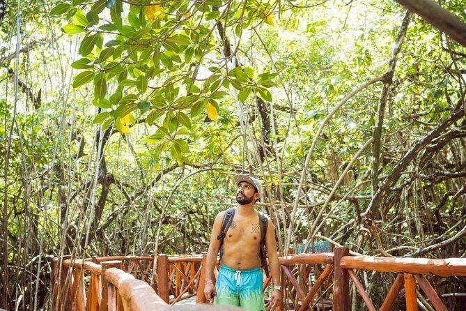 Casa Tortuga Eco Cenote Park+ Tulum Ruins! From Cancun & Playa Del Carmen - Authentic Experiences and Traveler Feedback