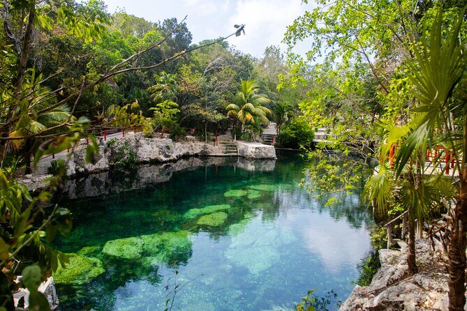 Casa Tortuga Natural Park, Explore 5 Cenotes with Lunch buffet - Exploring Casa Tortuga Natural Park: A Deep Dive into the Cenote Adventure