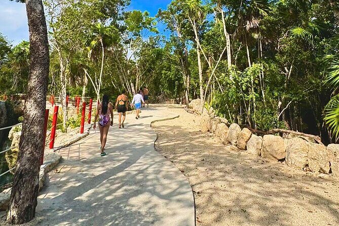 Casa Tortugas cenotes, Tulum Mayan site and Madre Naturaleza tour - Frequently Asked Questions