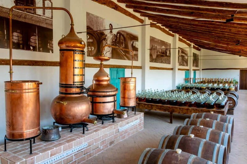 Casa Vermouth Padró: Vermouth tasting and guided visit in Bràfim (Tarragona) - Key Points