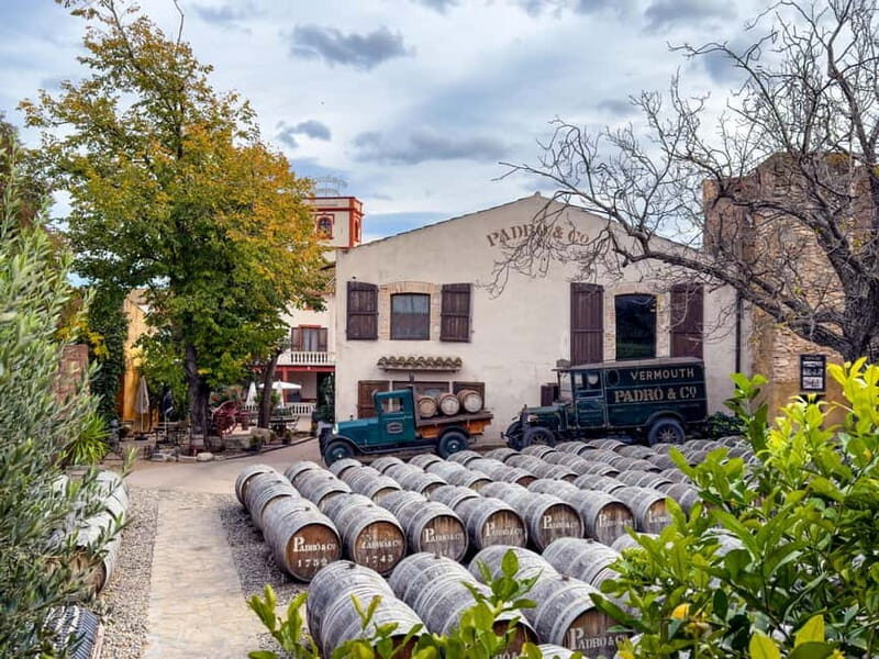 Casa Vermouth Padró: Vermouth tasting and guided visit in Bràfim (Tarragona) - An In-Depth Look at the Vermouth Tour Experience
