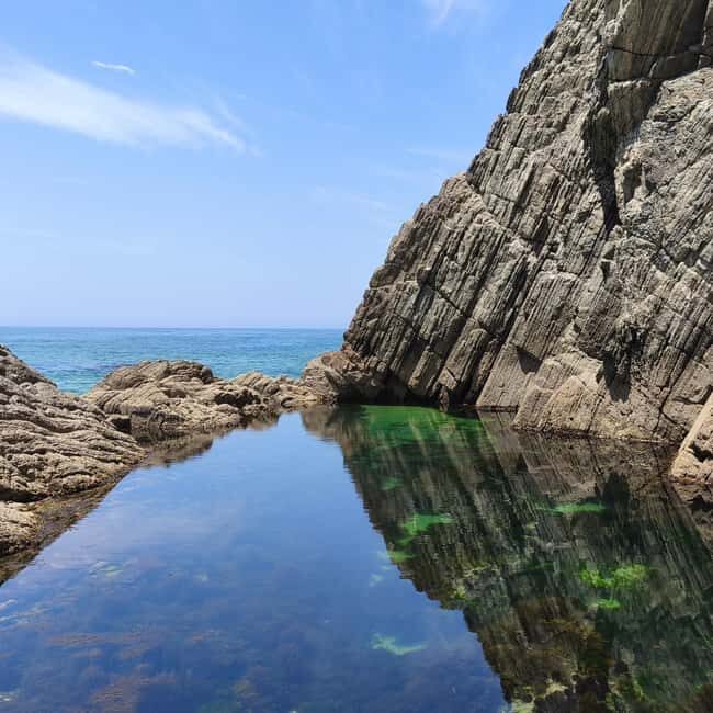 Cascais: Atlantic Coastline Wild Hike - An In-Depth Look at the Cascais Atlantic Coastline Wild Hike