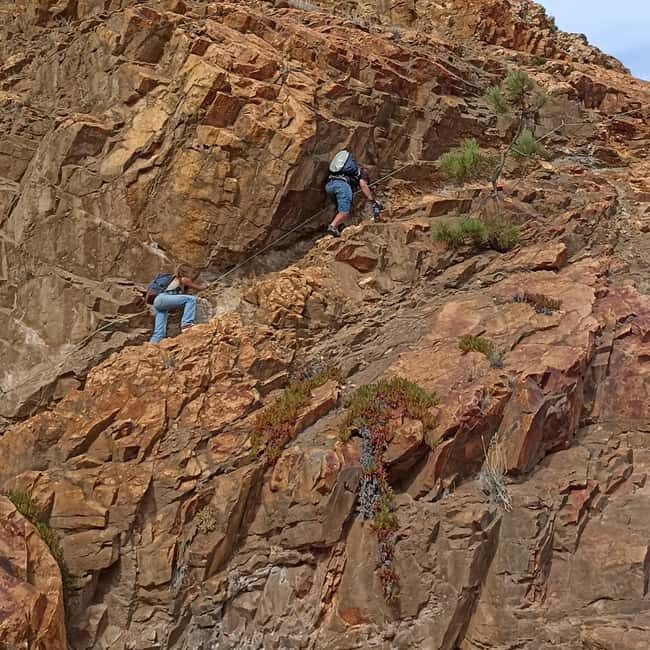 Cascais: Atlantic Coastline Wild Hike - FAQ