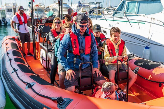 Cascais coast: Dolphin watching - Analyzing the Value: Is It Worth It?