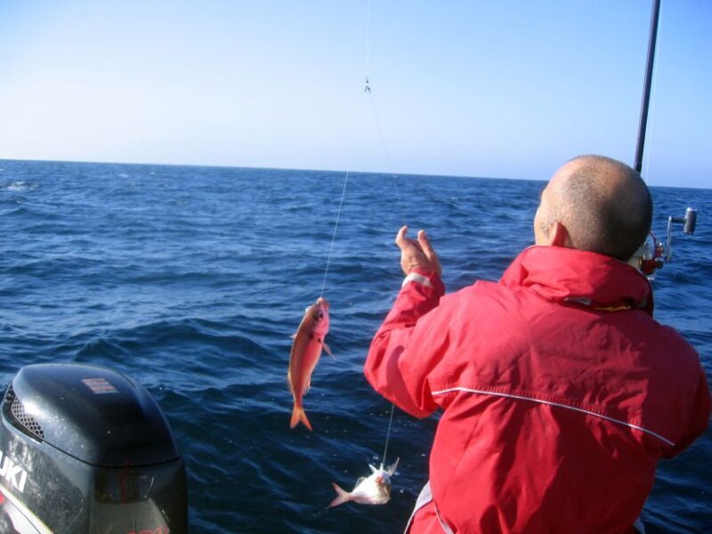 Cascais Deep-Sea Fishing Trip - What to Expect on the Cascais Deep-Sea Fishing Trip