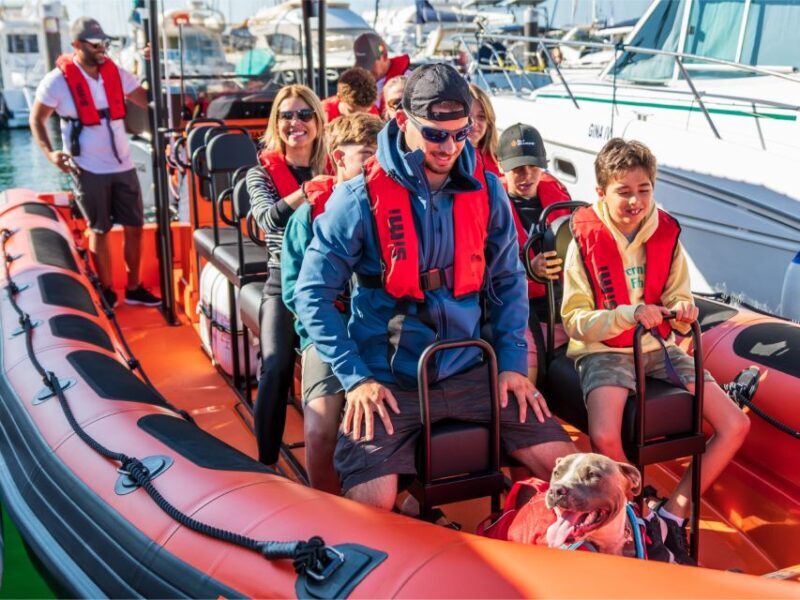 Cascais: Dolphin Watching Tour - Authentic insights from reviewers