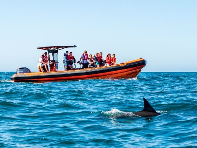 Cascais: Dolphin Watching Tour - Practical details