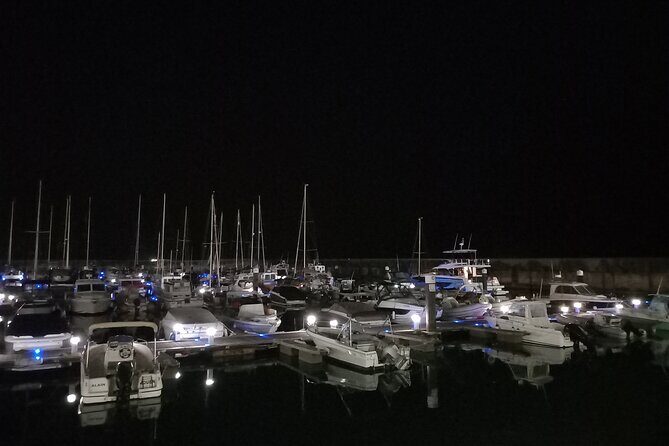 Cascais & Estoril by night | OR | Sintra By Night - Final Thoughts on the Experience