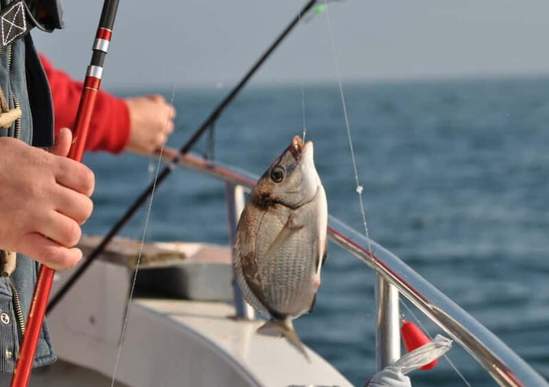 Cascais: Family Fishing - A Practical Look at the Cascais Family Fishing Experience