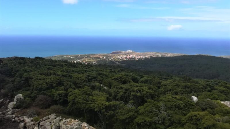 Cascais: Hiking in Sintra-Cascais Natural Park - Who Will Love This Tour?
