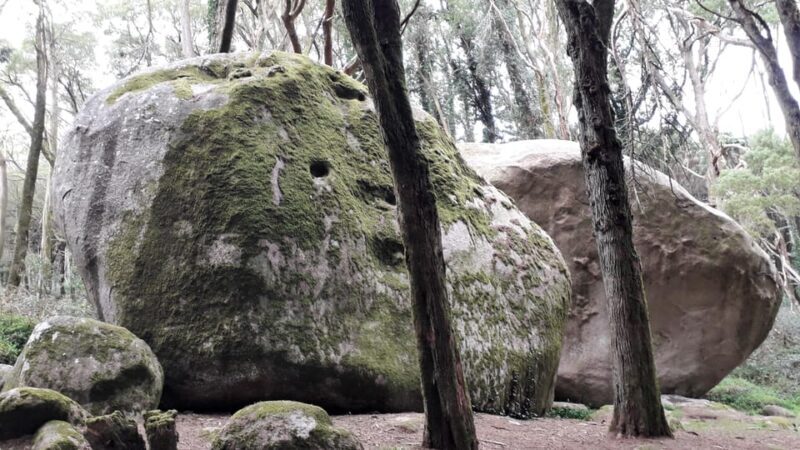 Cascais: Hiking in Sintra-Cascais Natural Park - Frequently Asked Questions