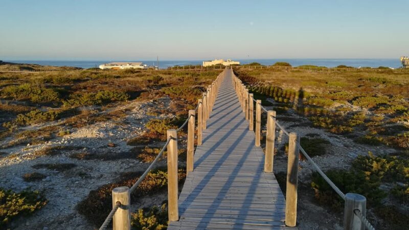 Cascais: Hiking in Sintra-Cascais Natural Park - Final Thoughts