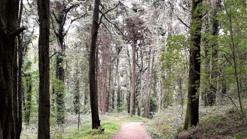 Cascais: Open Water Swimming and Hiking Experience - Final Thoughts: Is It Worth It?