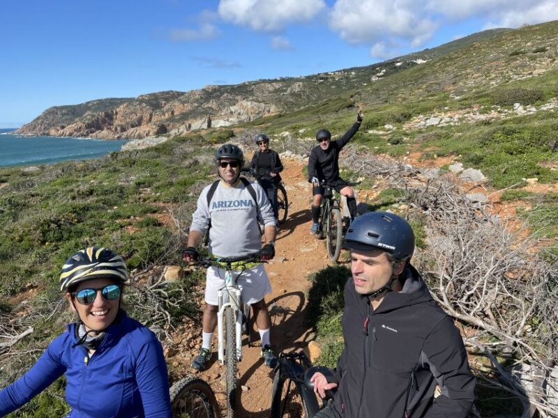 Cascais-Sintra E-bike Tour: Coast & Countryside Adventure - A Deep Dive into the Experience