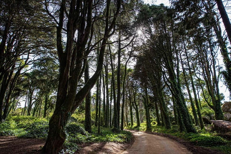 Cascais: Surfing tour within the Natural Park - Who Is This Tour Perfect For?