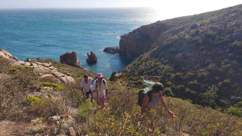 Cascais: Wild Coast Hike to a Secluded Swim Spot - The Details: Logistics and Practicalities