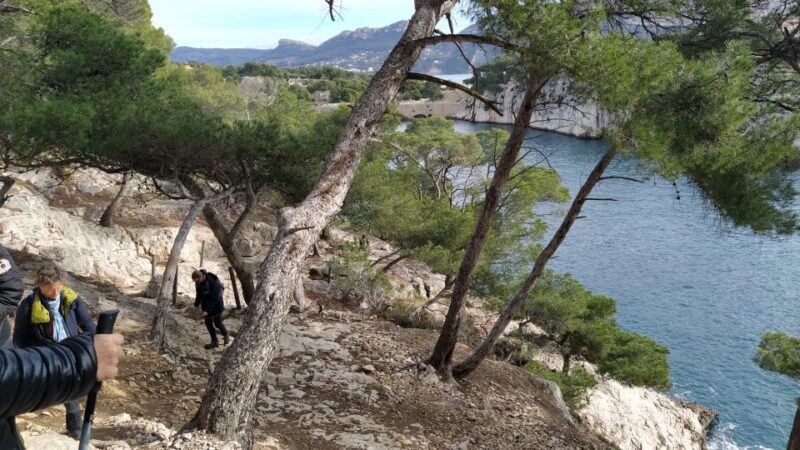 Cassis: 3 Calanques Half-Day Hiking Tour with Swimming - Who Is This Tour Best For?